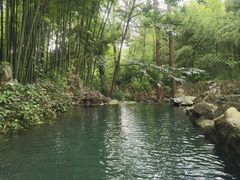 -四门塔风景区