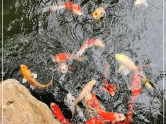 -云溪植物园