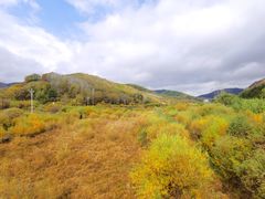 -塞罕坝国家级自然保护区