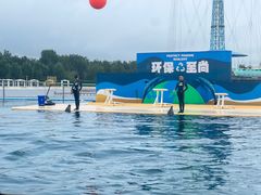 -秦皇岛乐岛海洋王国