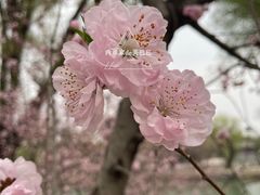 -颐和园