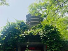 -正阳书局(西四南大街店)