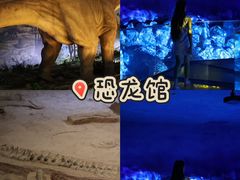 -中国西峡恐龙遗迹园