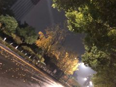 -钱江新城灯光秀