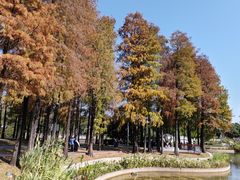 -四海公园(南山区)