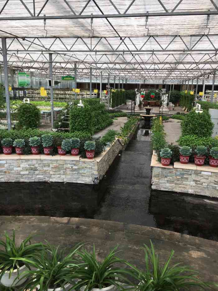 晶宝温泉农庄-"好玩,好吃,好睡,总之就是好!"-大众点评移动版