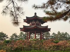 -大慈恩寺(大雁塔)