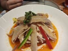 椒麻鸡-必点海鲜·鲅鱼水饺(鞍山西道店)