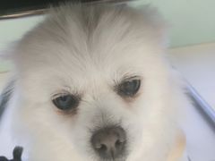 -怪兽屋·羊驼·猫咖·狗咖(俊华广场店)