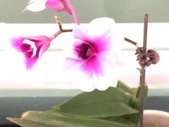 -南堂馆·新川菜(春熙路店)