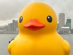 -港铁金钟站