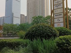 -武汉光谷K11
