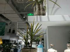 -OCE(熙地港购物中心店)