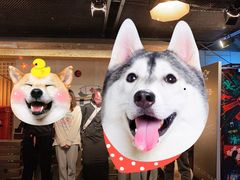 -长藤鬼校(龙翔店)