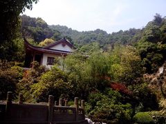 -十八棵（老龙井）御茶园(老龙井店)