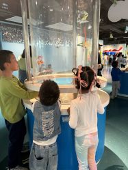 -北京科学中心儿童乐园