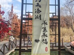 -溱湖国家湿地公园