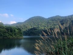 -广州市石门国家森林公园