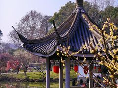 -无锡梅园公园