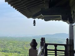 -宜兴龙背山森林公园