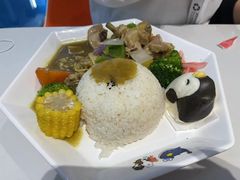 -上海海昌海洋公园