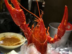 极品蒸虾-巴厘龙虾·榜首油焖大虾(旗舰店·万松园)