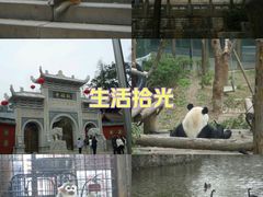 -黔灵山公园