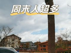 -刘伯温故里景区百丈漈