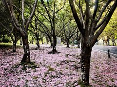 -苏州河梦清园环保主题公园