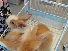 -怪兽屋·羊驼·猫咖·狗咖(俊华广场店)