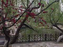 -贮水山儿童公园