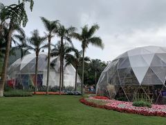 -深圳仙湖植物园-停车场