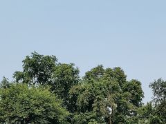 -俄罗斯风情小镇