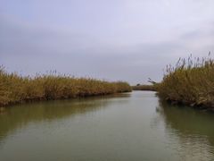 -泗洪洪泽湖湿地景区