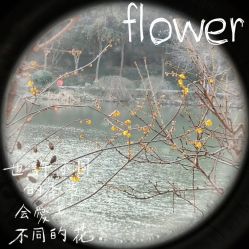 -馨果汇月子产康中心(南湖公园店)