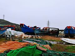 -枸杞岛