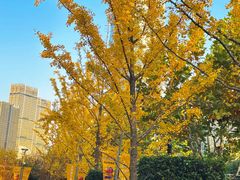 -北外滩滨江绿地