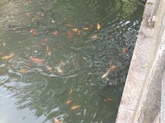 -灵光寺