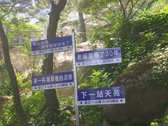 -崂山仰口游览区