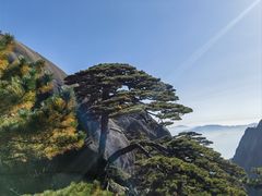-黄山风景区