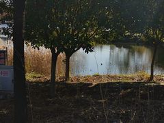 -山东科技大学（青岛校区）-图书馆