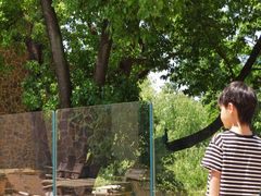 -J Create城市露营咖啡·简餐·宠物(上海动物园店)