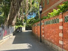 -苏小糖(鼓浪屿三丘田花园店)