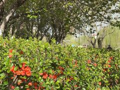 -元大都城垣遗址公园