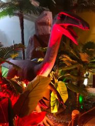 -恐龙探索乐园(磁器口店)