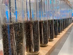 -喜茶(广州东方宝泰店)
