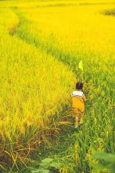 -小时光儿童摄影工作室(宜兴店)