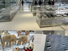 -罗红摄影艺术馆