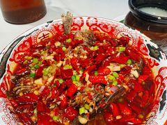 -欧记大排档·景德菜(上海首店)