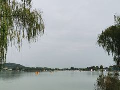 -上海月湖雕塑公园